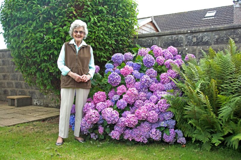 Professor Barbara Weaver Memorial Lecture 16 September 2026