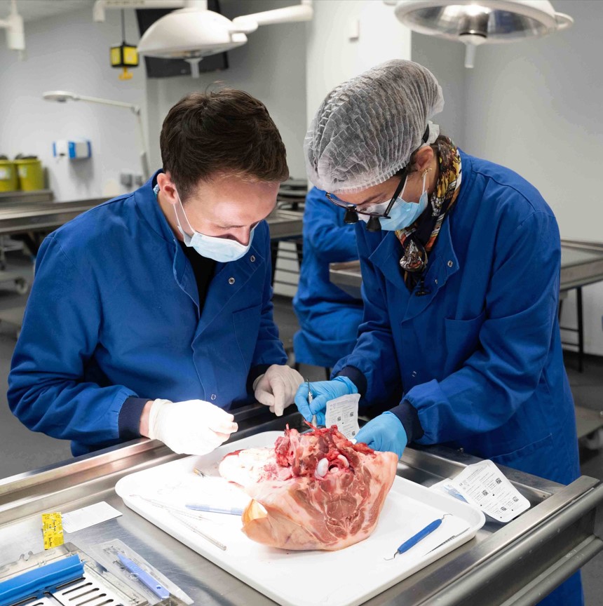 Incision Precision: Surgical Perio Solutions for Non-Resolving Pockets